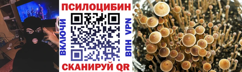 Галлюциногенные грибы Magic Shrooms  Соликамск 