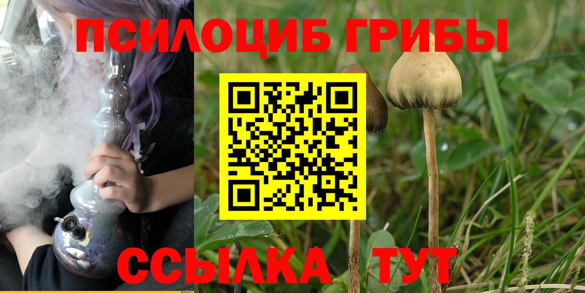 Соликамск  Псилоцибиновые грибы MAGIC MUSHROOMS  Вход с VPN 