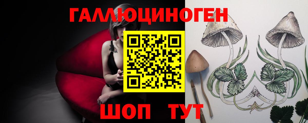 Галлюциногенные грибы Psilocybe Соликамск